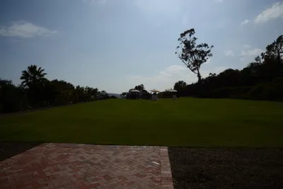 DSC_2465 (Large).JPG